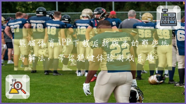熊猫体育APP下载后新版本的那些坑与解法，带你稳健体验游戏乐趣